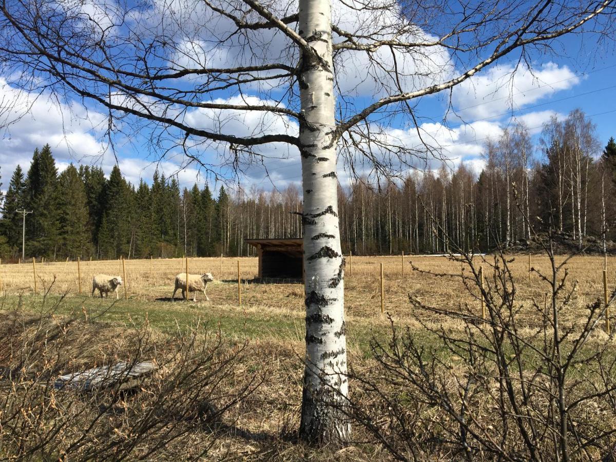 Kivirannan Tupa Villa Уливиеска Екстериор снимка