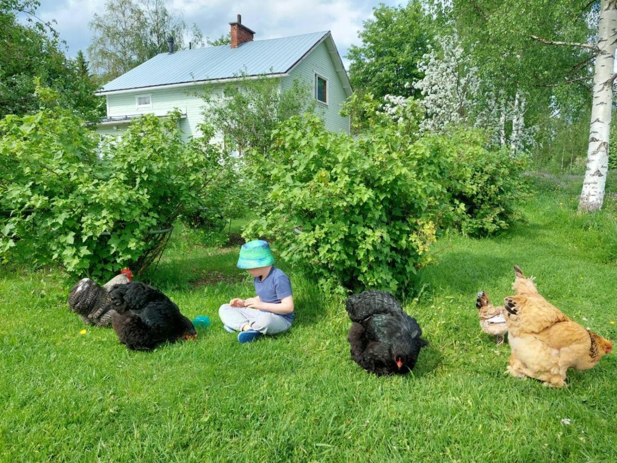 Kivirannan Tupa Villa Уливиеска Екстериор снимка